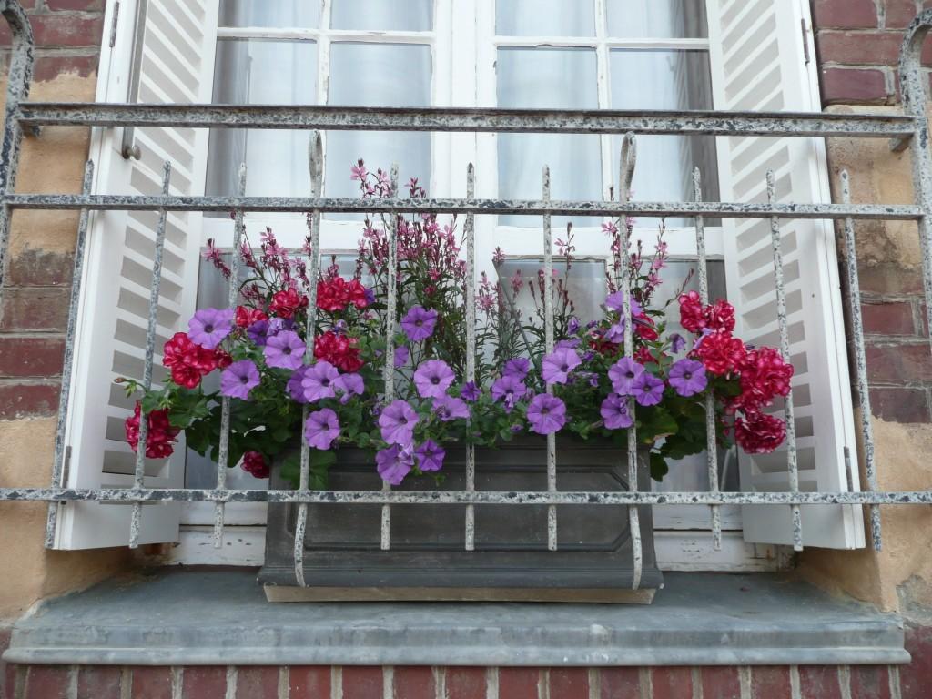 fleurs à la fenêtre