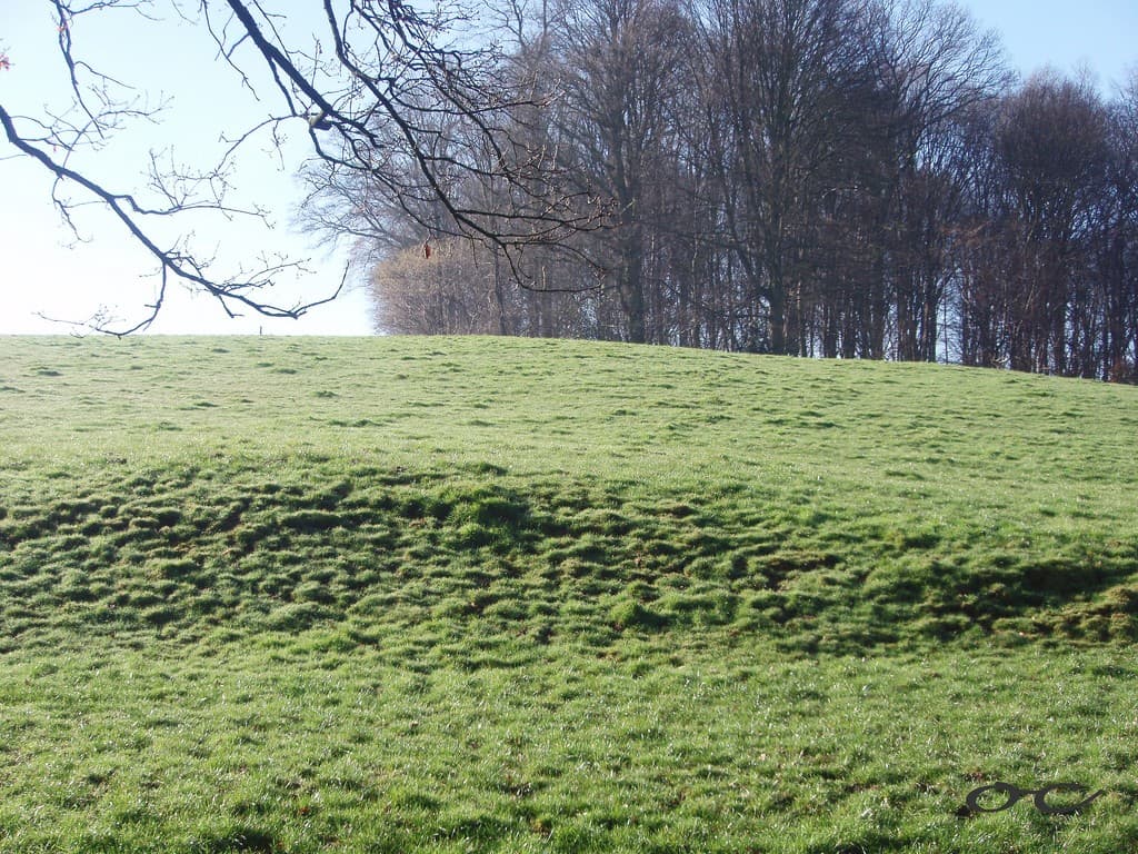 Juste après les gelées blanches