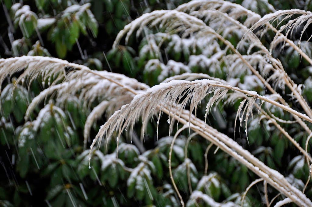 L'hiver n'est pas fini!