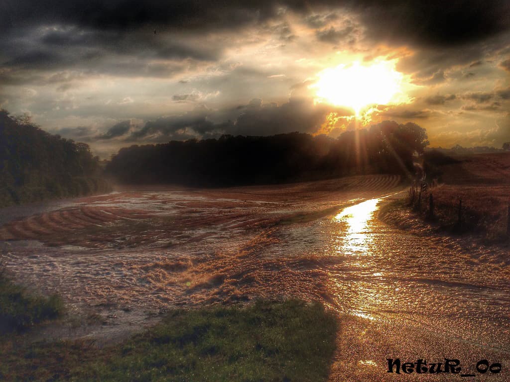 after storm