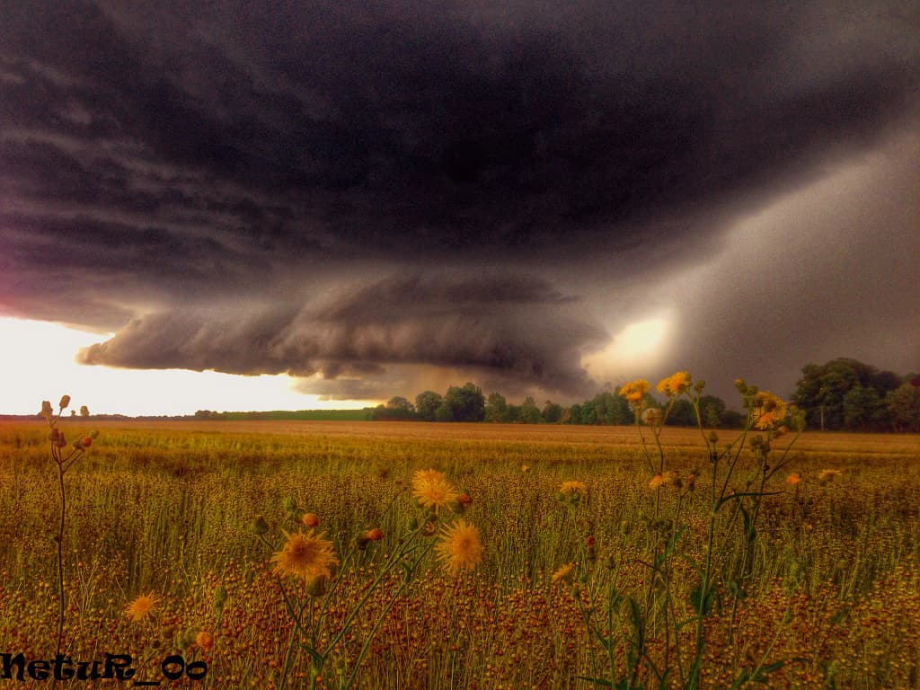 arcus 1