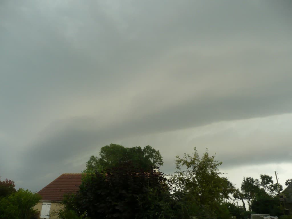 Arcus