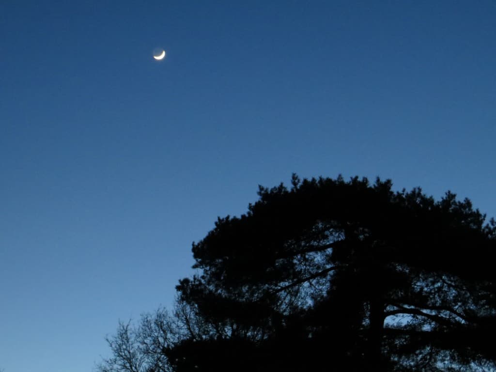 Clair de lune