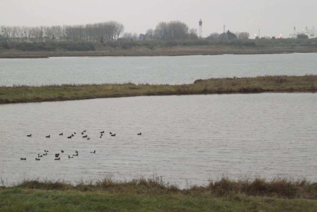 Estuaire de l'Orne face à Ouistreham 11°