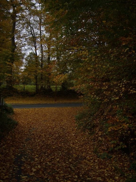 Automne dans le Pays de Caux
