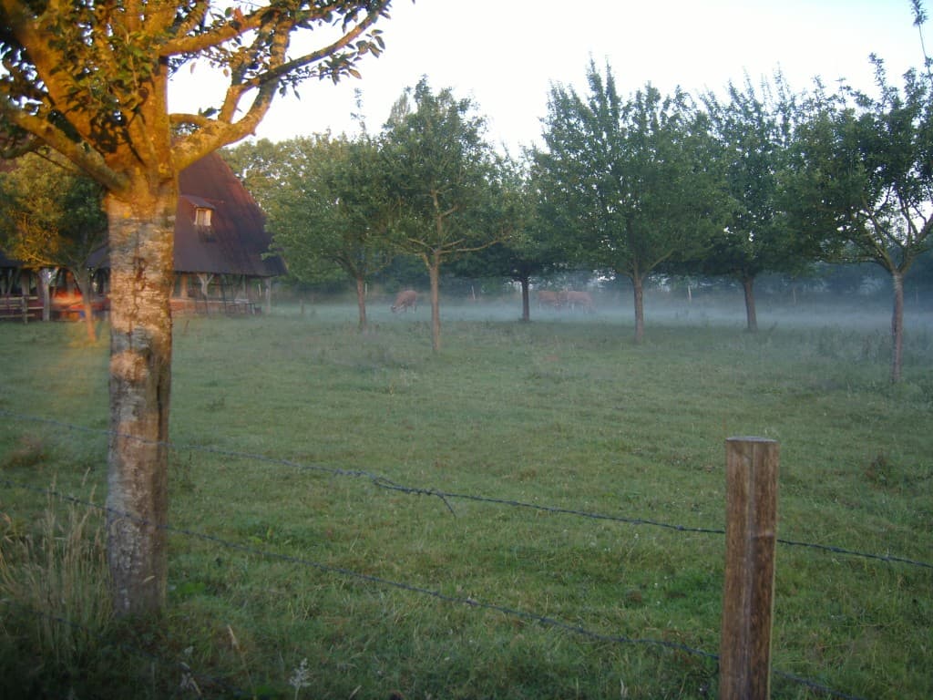 fraicheur matinale dans le Pays de Caux