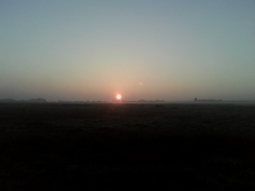 le reveil du matin 