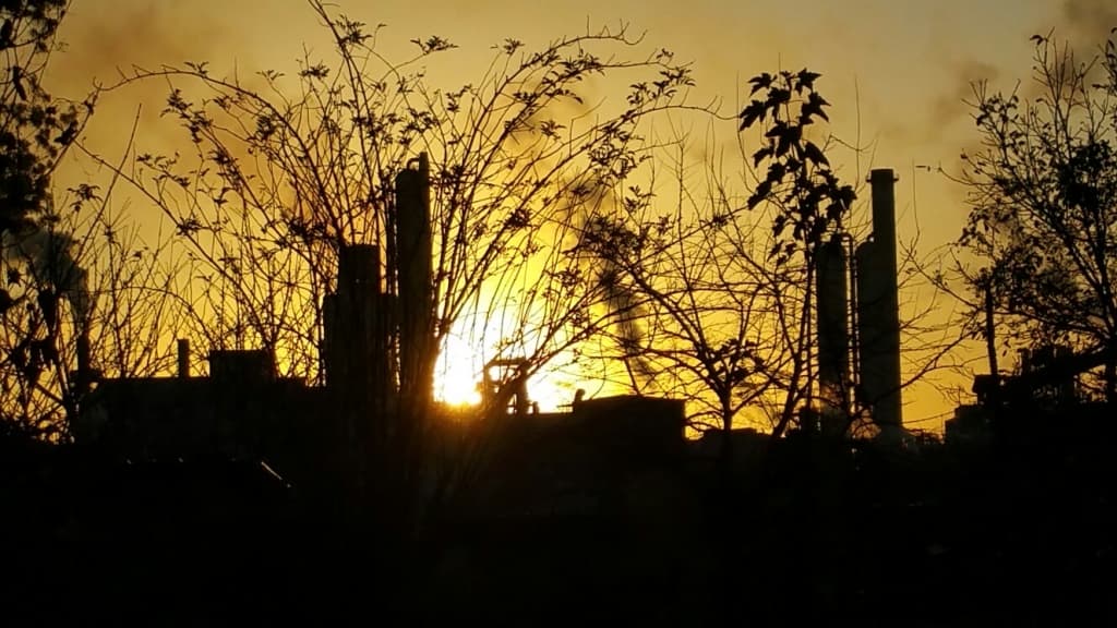 soleil le matin 