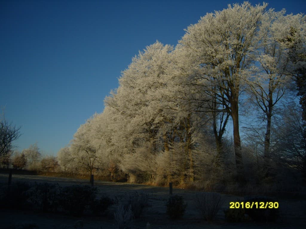 Pays de Caux :matinée sous le givre
