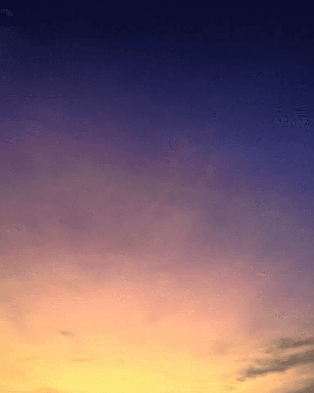 Couché de soleil 