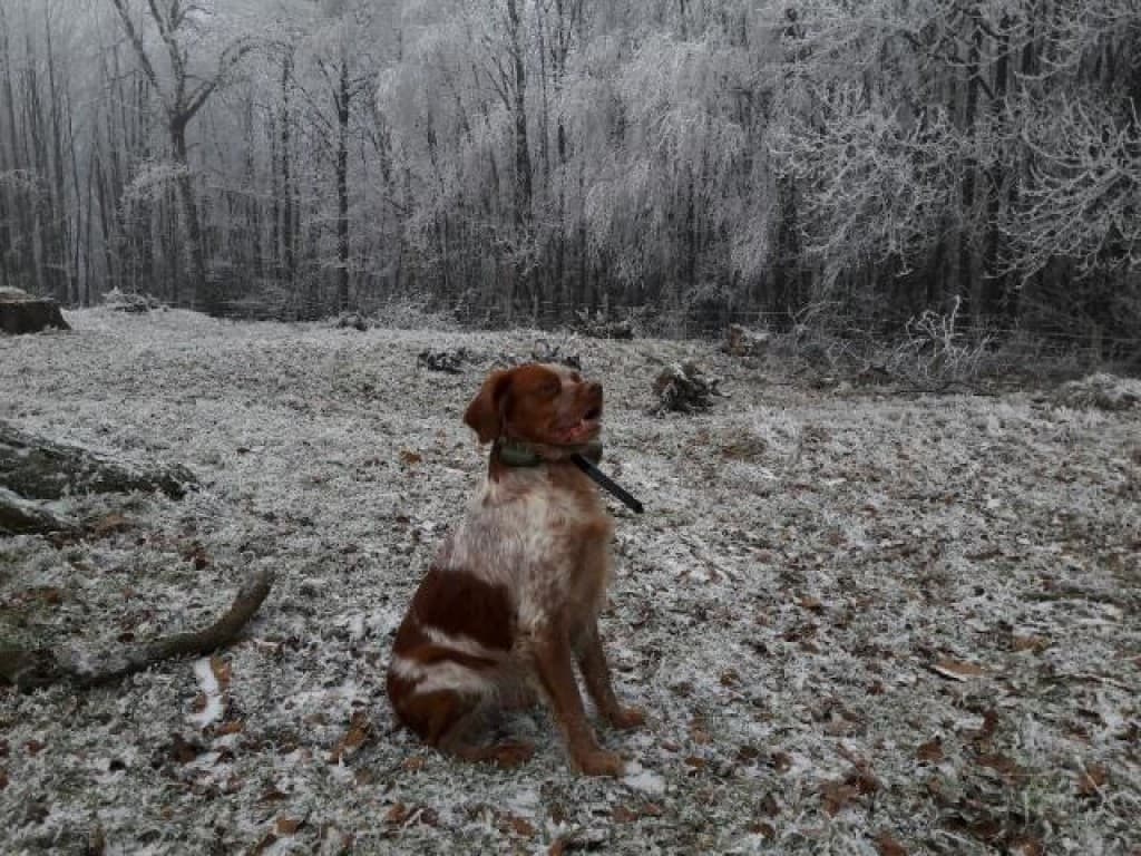 ETHAN DANS LE GIVRE 