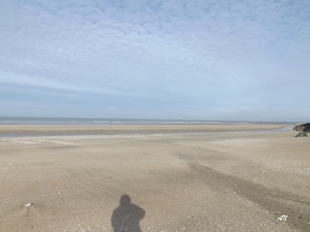 Soleil et altocumulus, 5°C en matinée