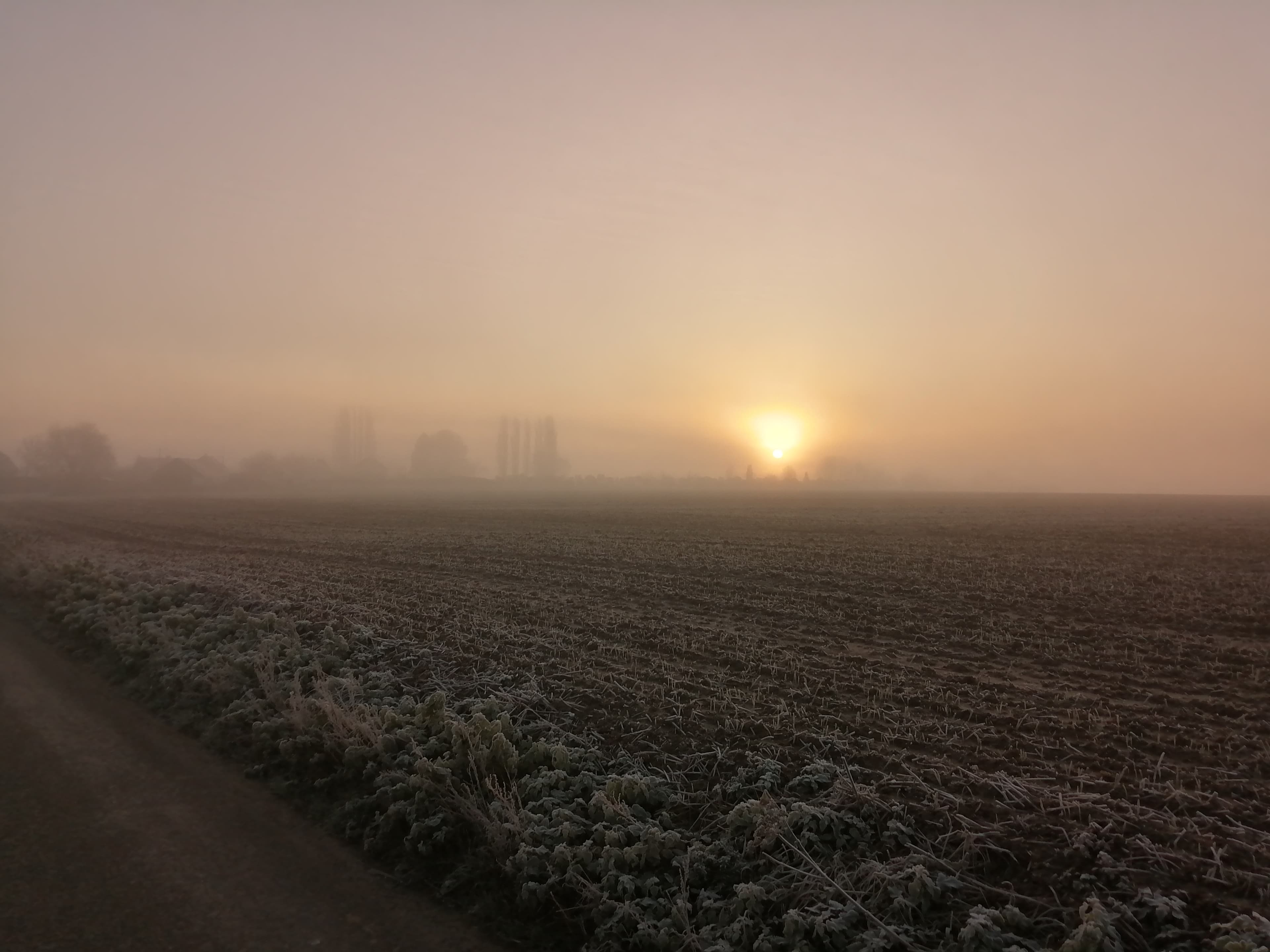 Ciel brumeux et givre