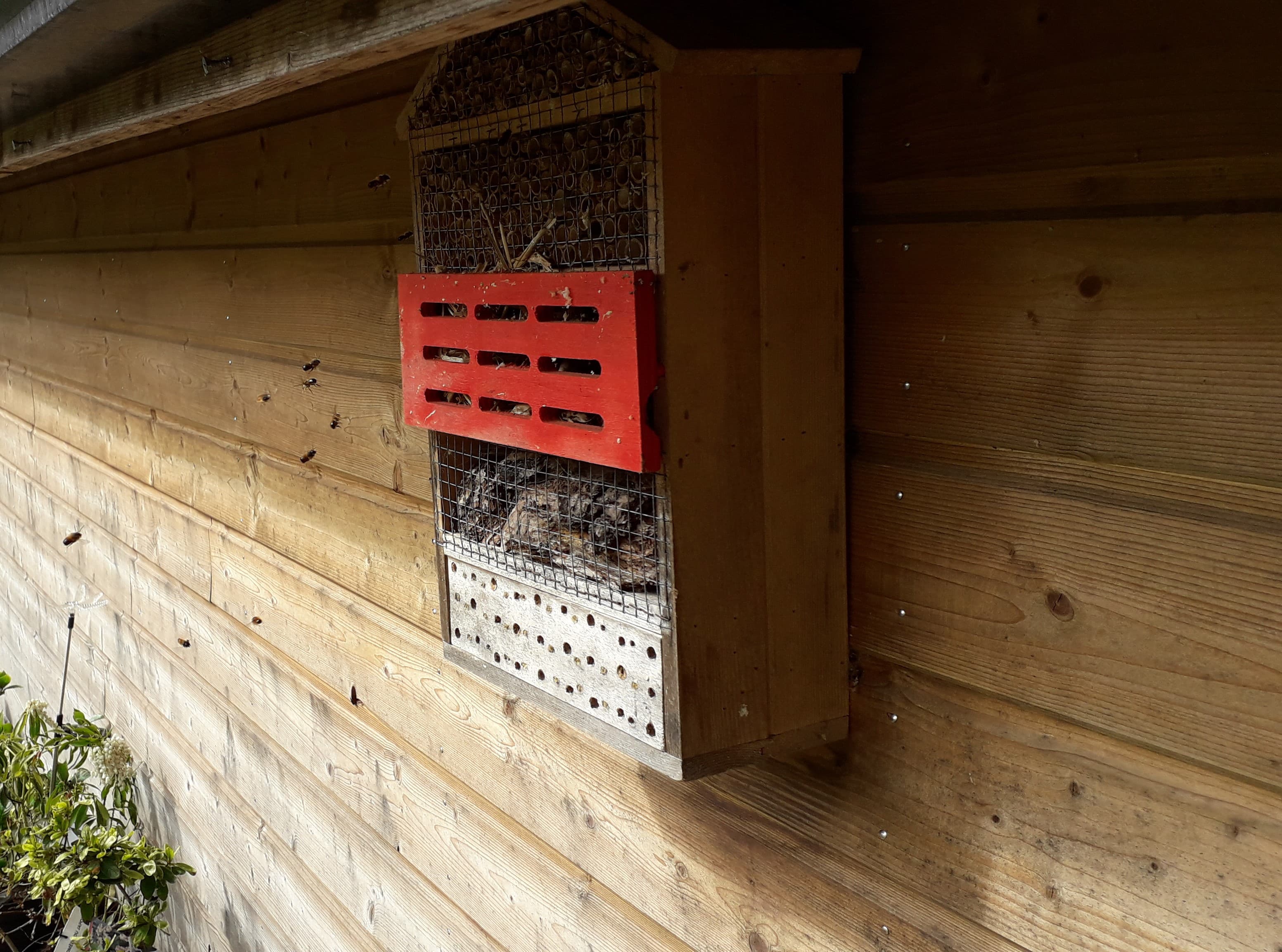 l'hôtel à insectes accueille ses hotes