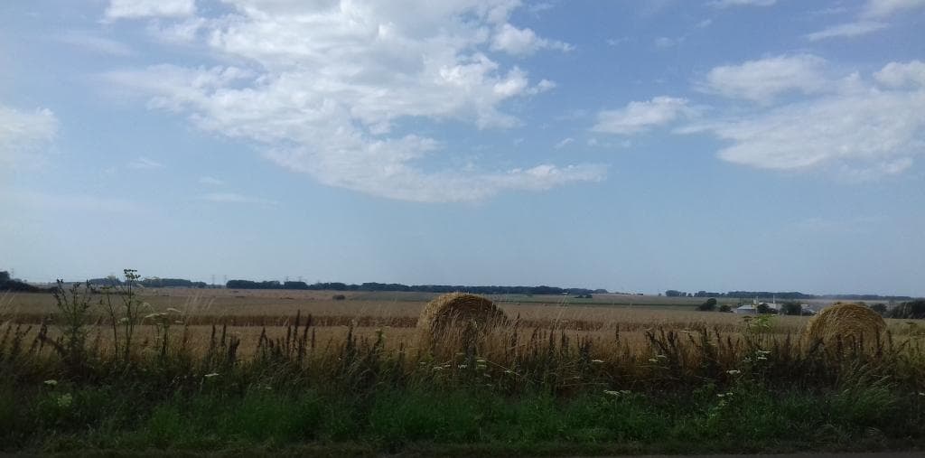 Moissons à Bourville sous 42°