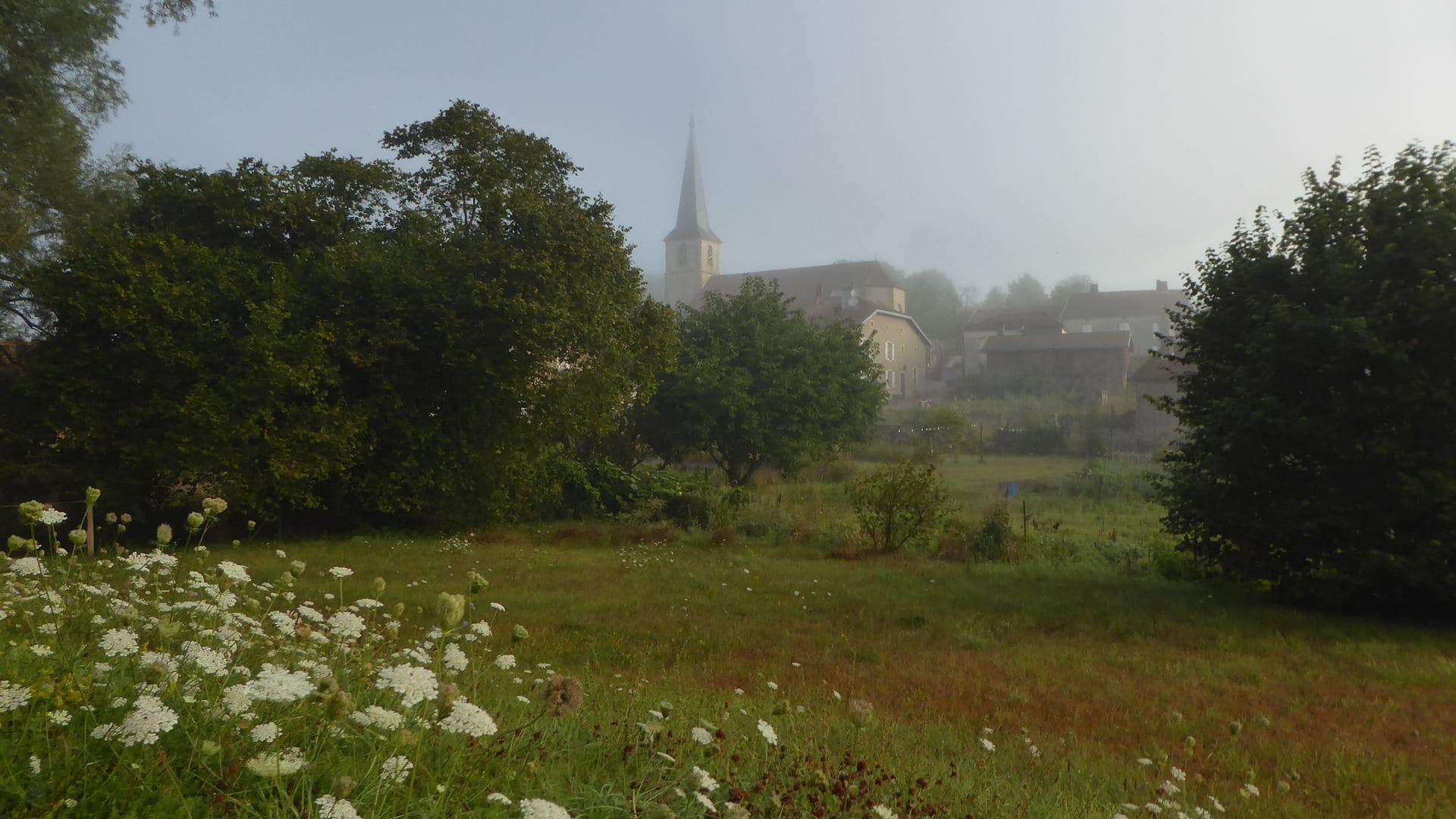 Brouillard matinal