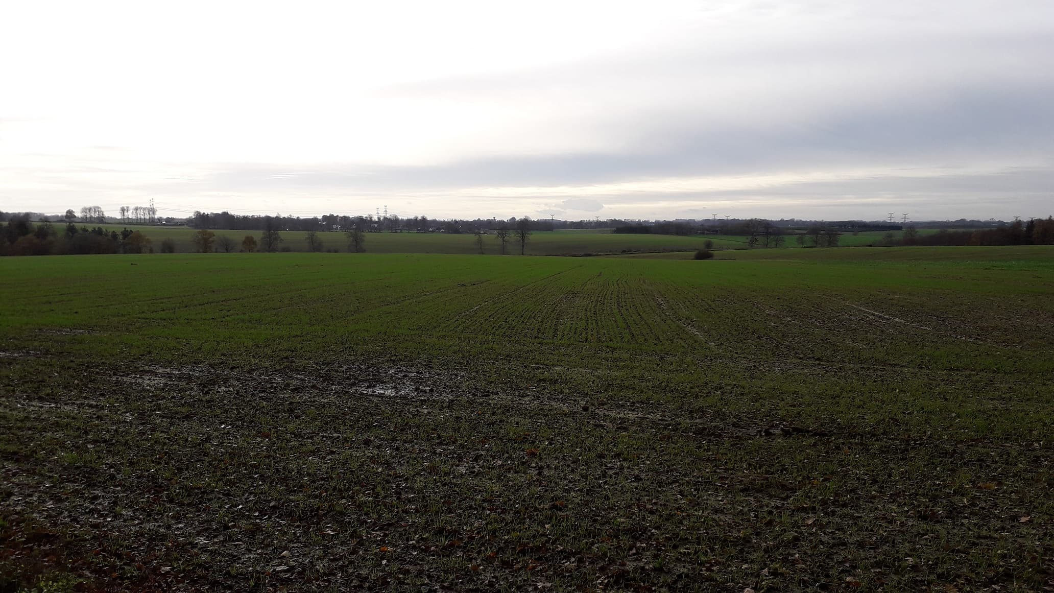 Après-midi d'automne en pays de Caux