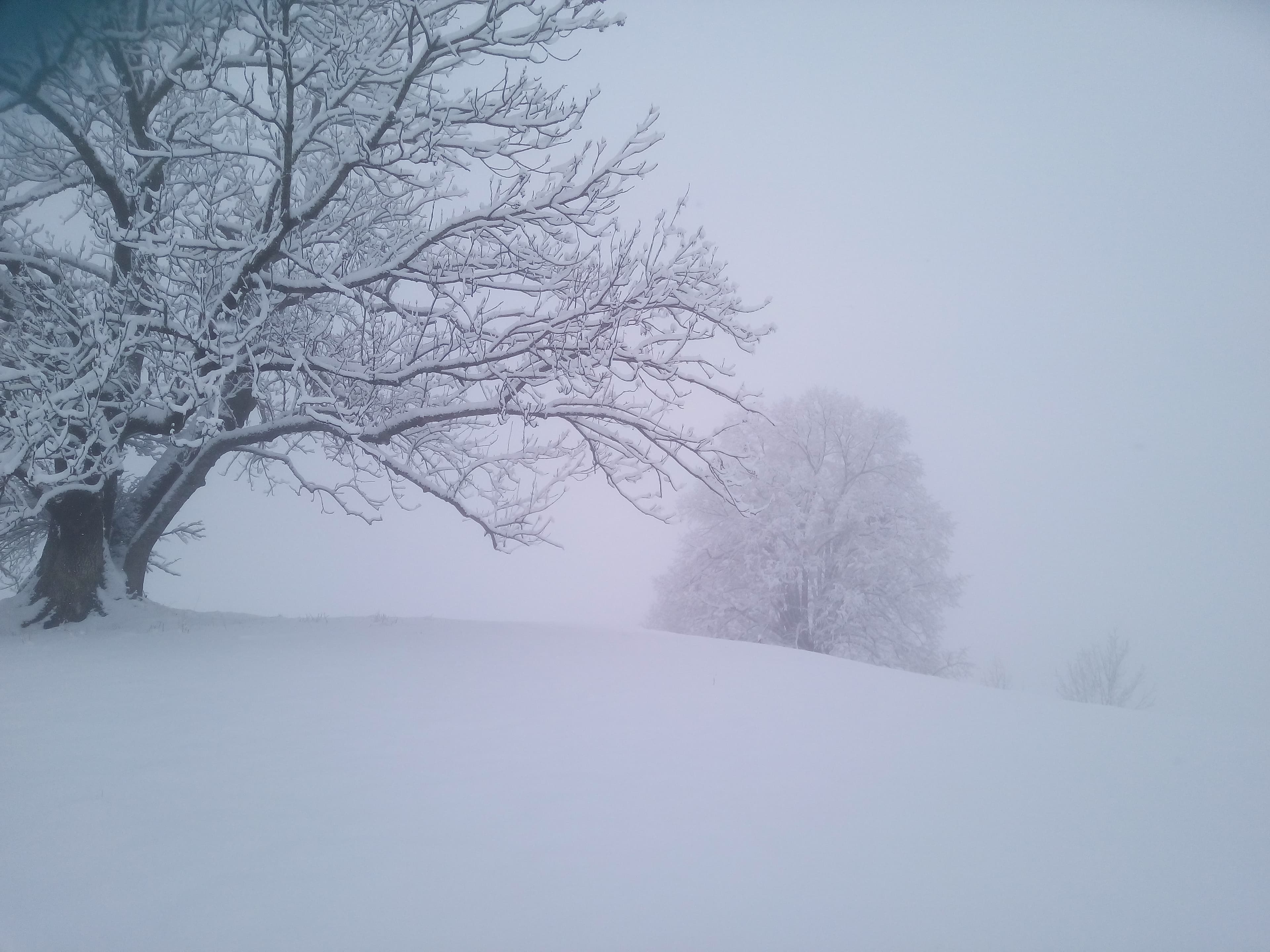 début d'année avec une quinzaine de cms de neige dès 900m