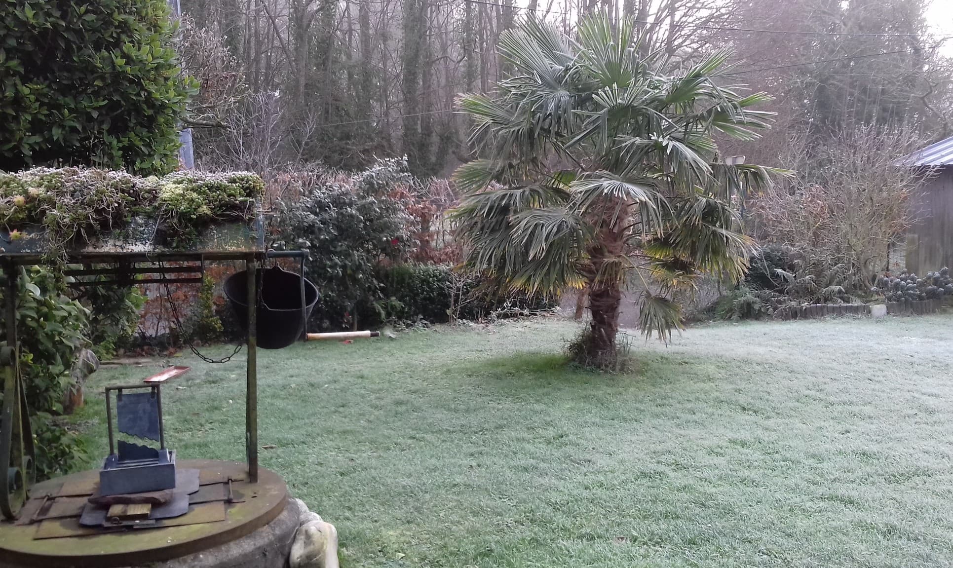 Givre et gel sur Bourville