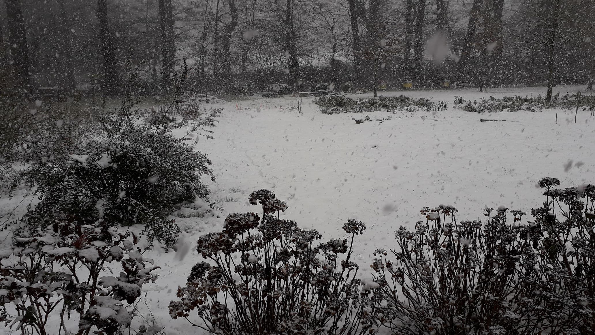 Reprise de l'épisode neigeux sur le Pays de Caux