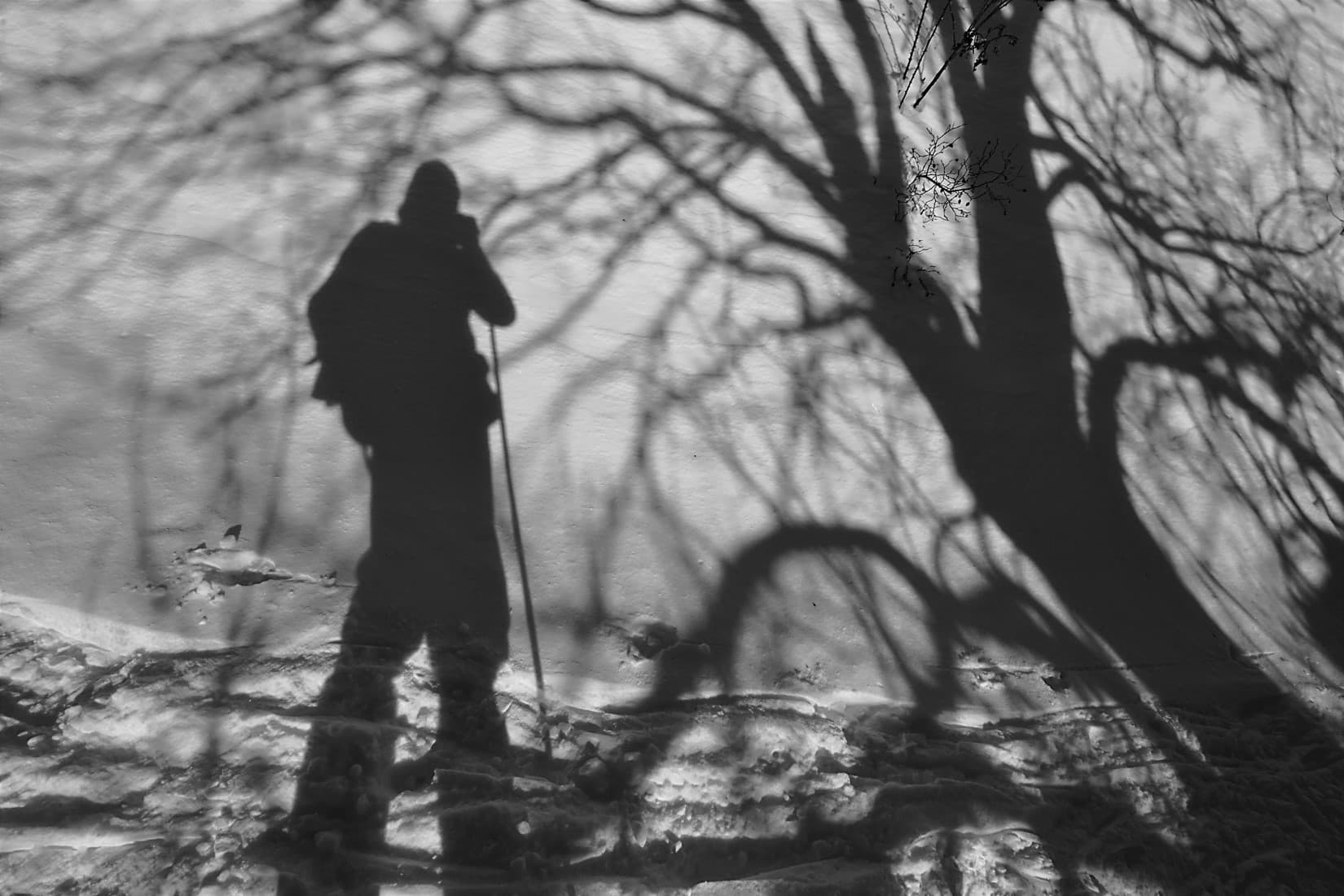 Ombres d'hiver