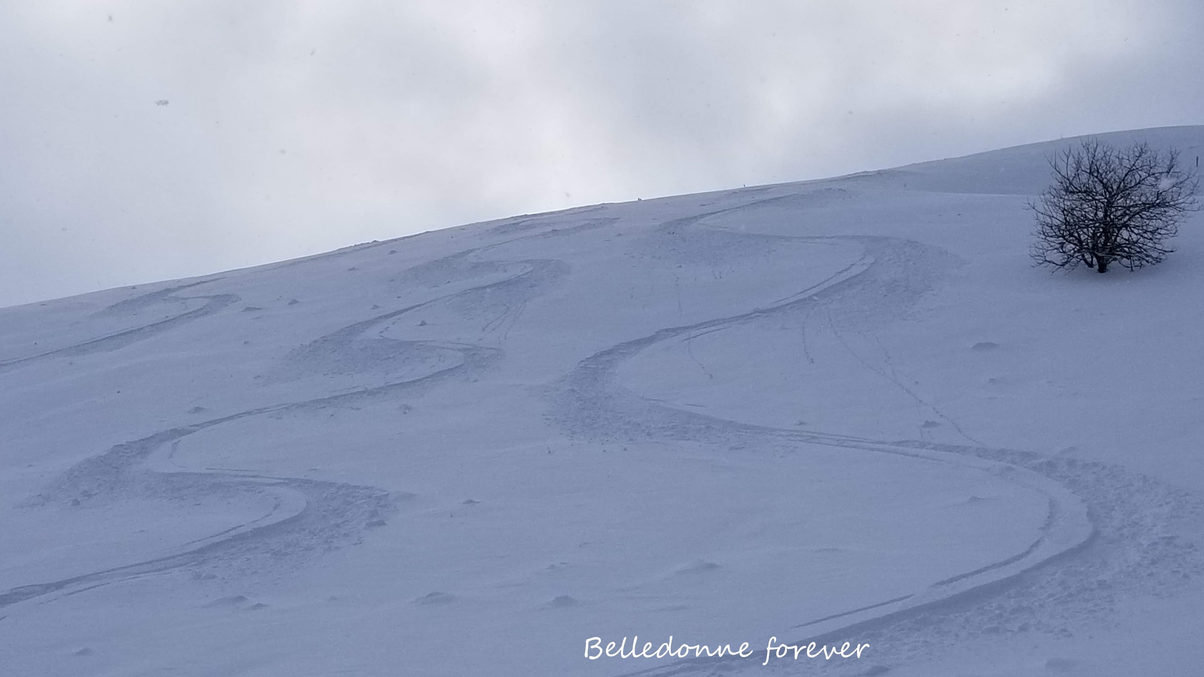 Encore 20 cm de poudre neige d'enfer A.P.