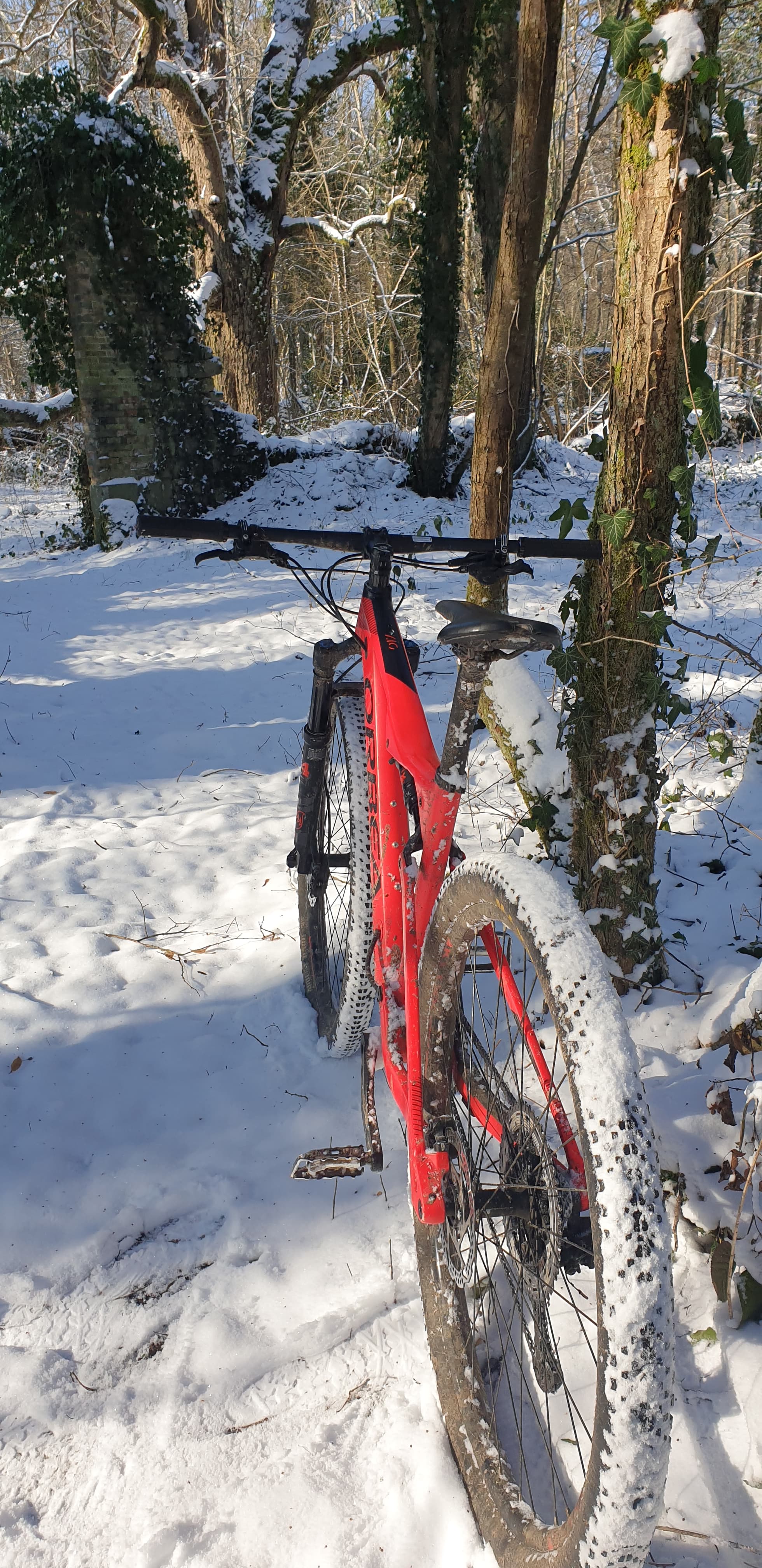Vtt en forêt de Rambouillet enneigée - Poigny la forêt