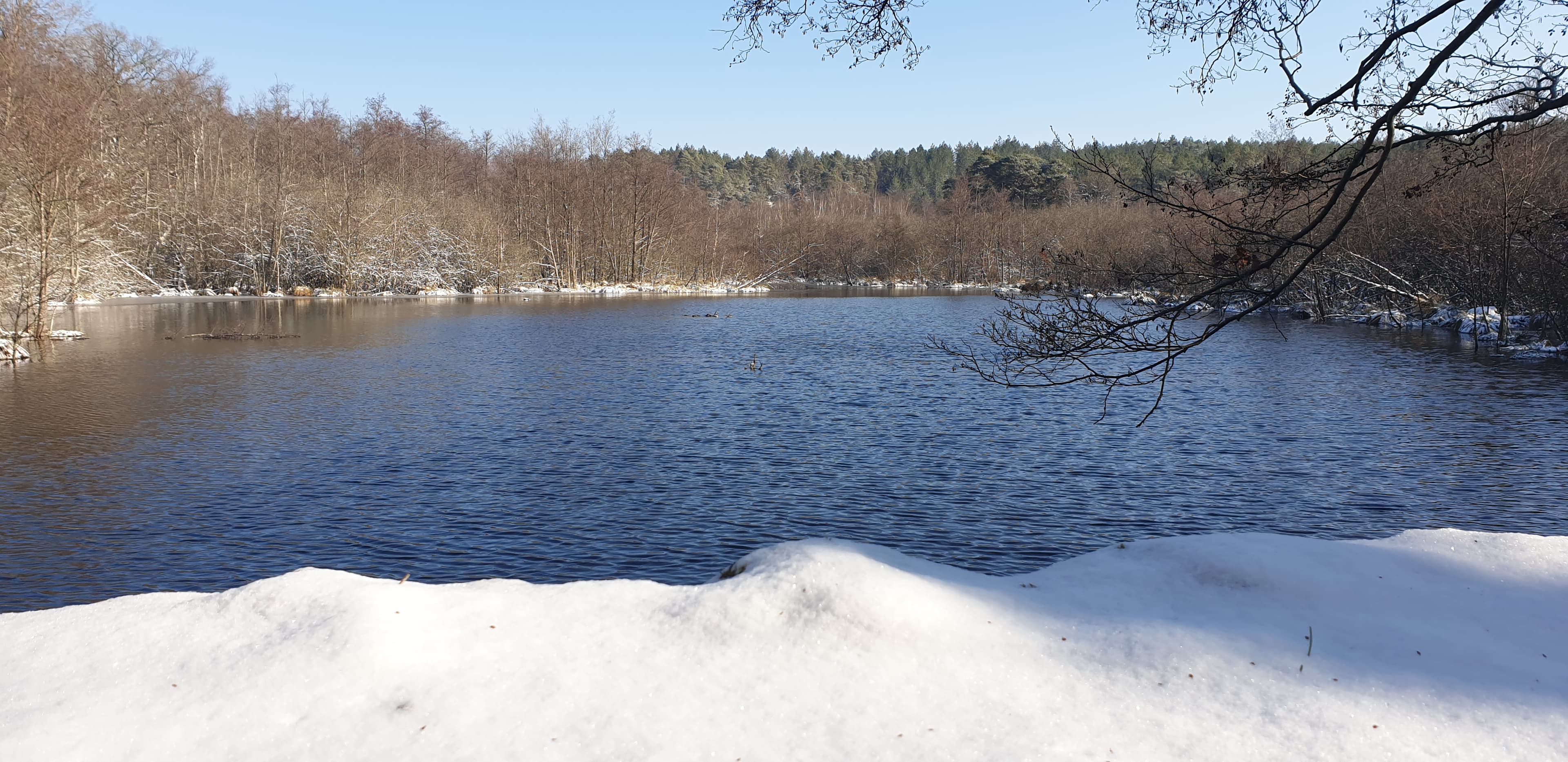 Lac caché Poigny la forêt 78
