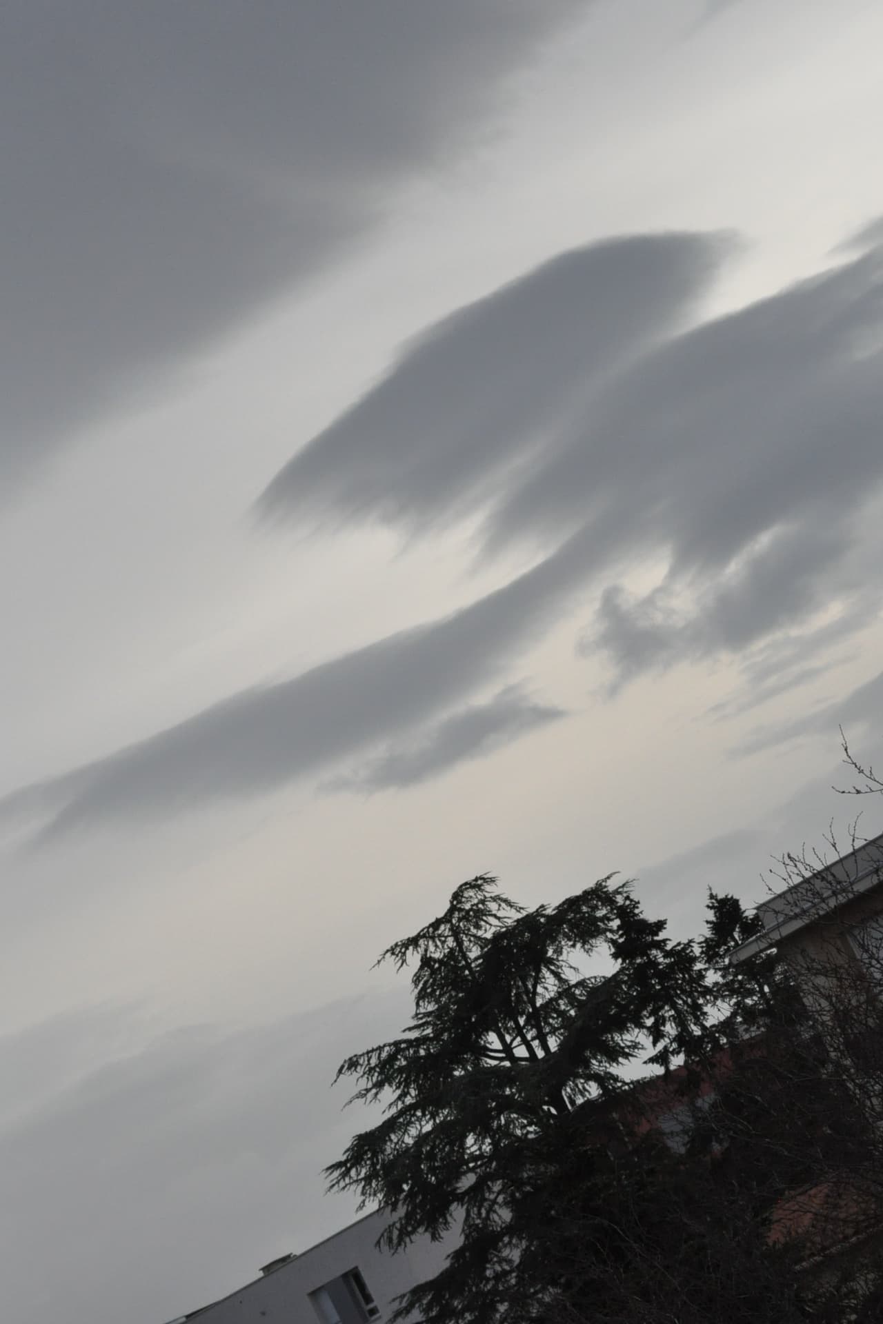 nuances de gris :