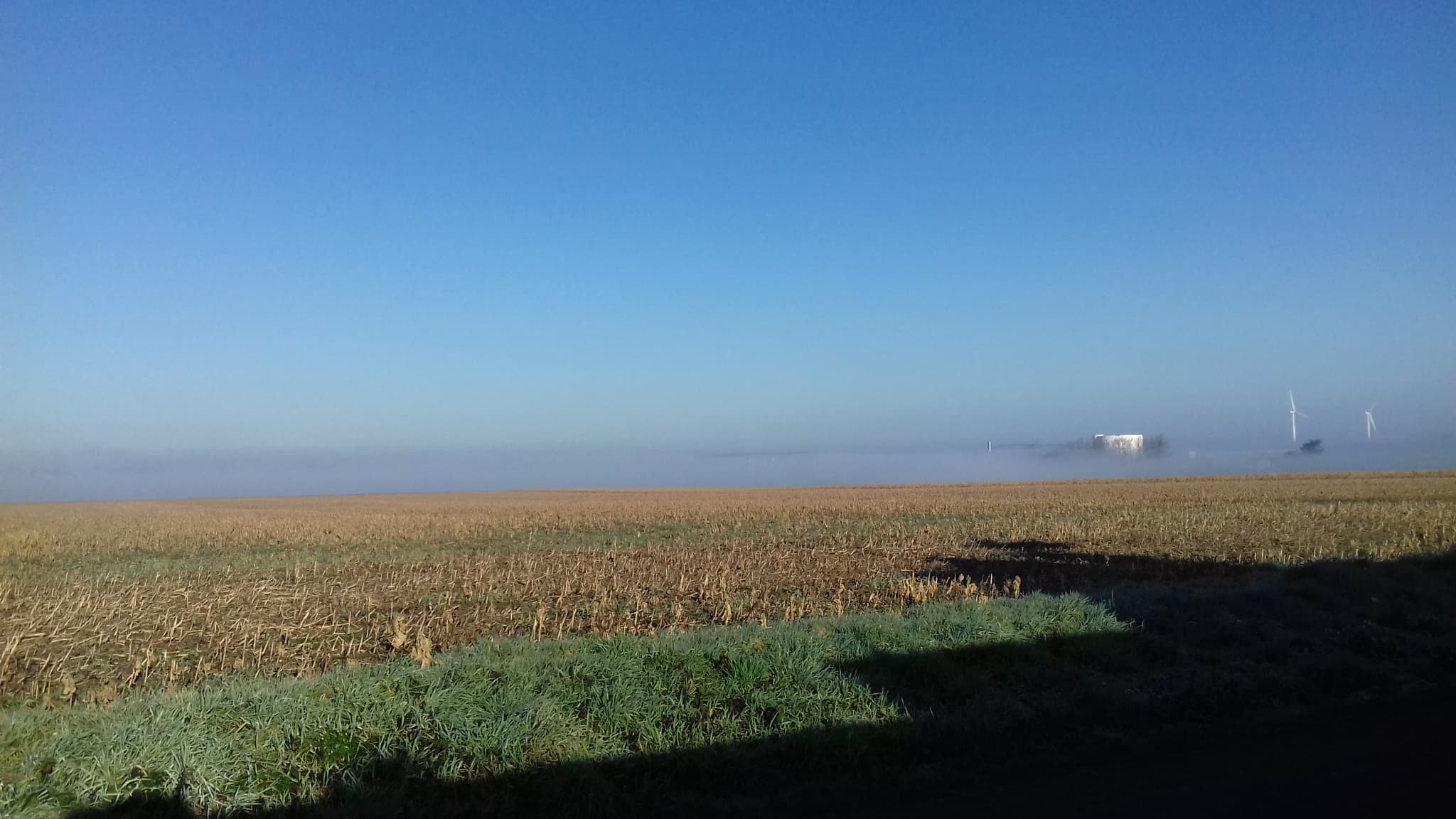 Brume du petit matin et gelée