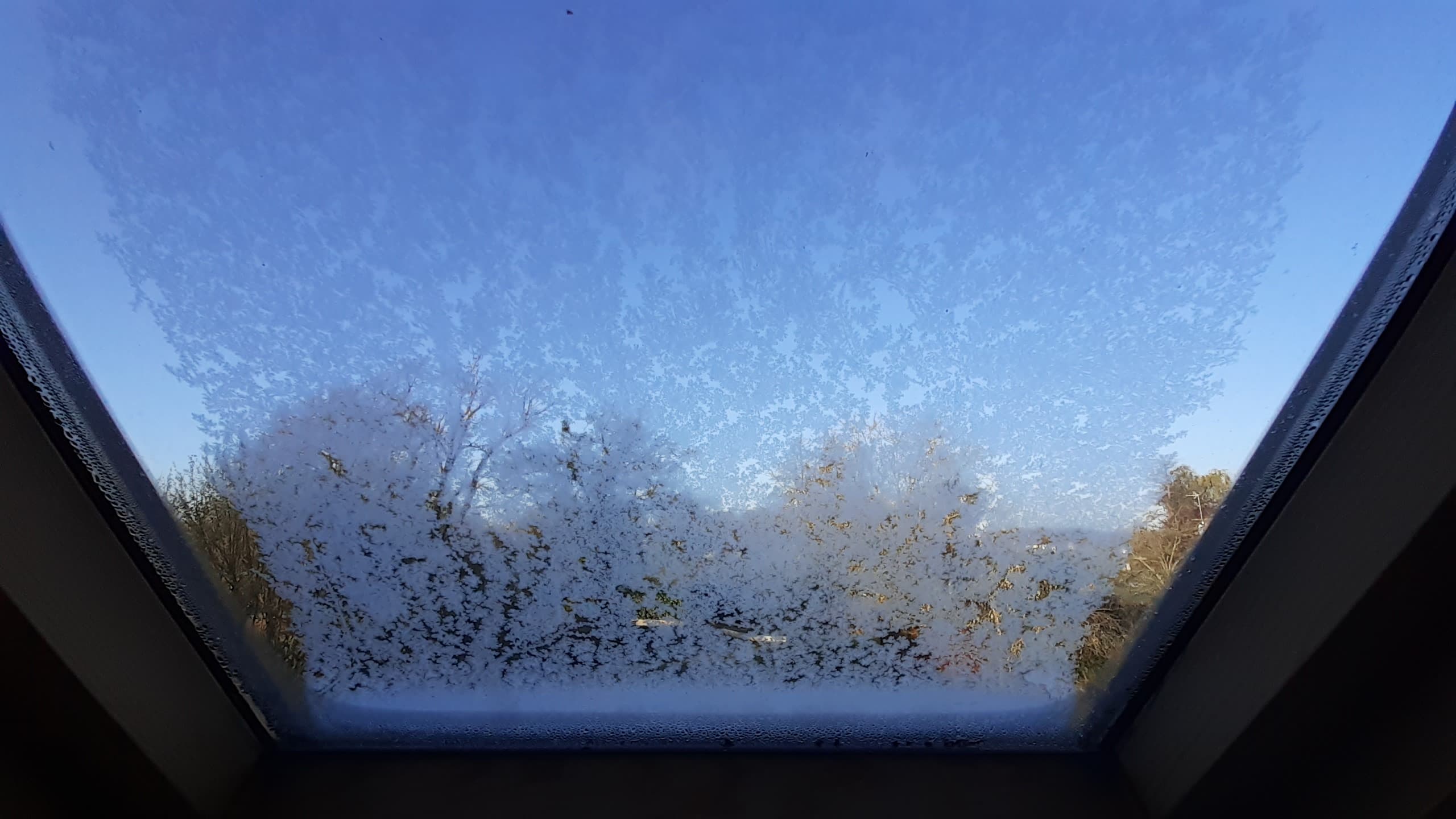 Gelée sur la fenêtre