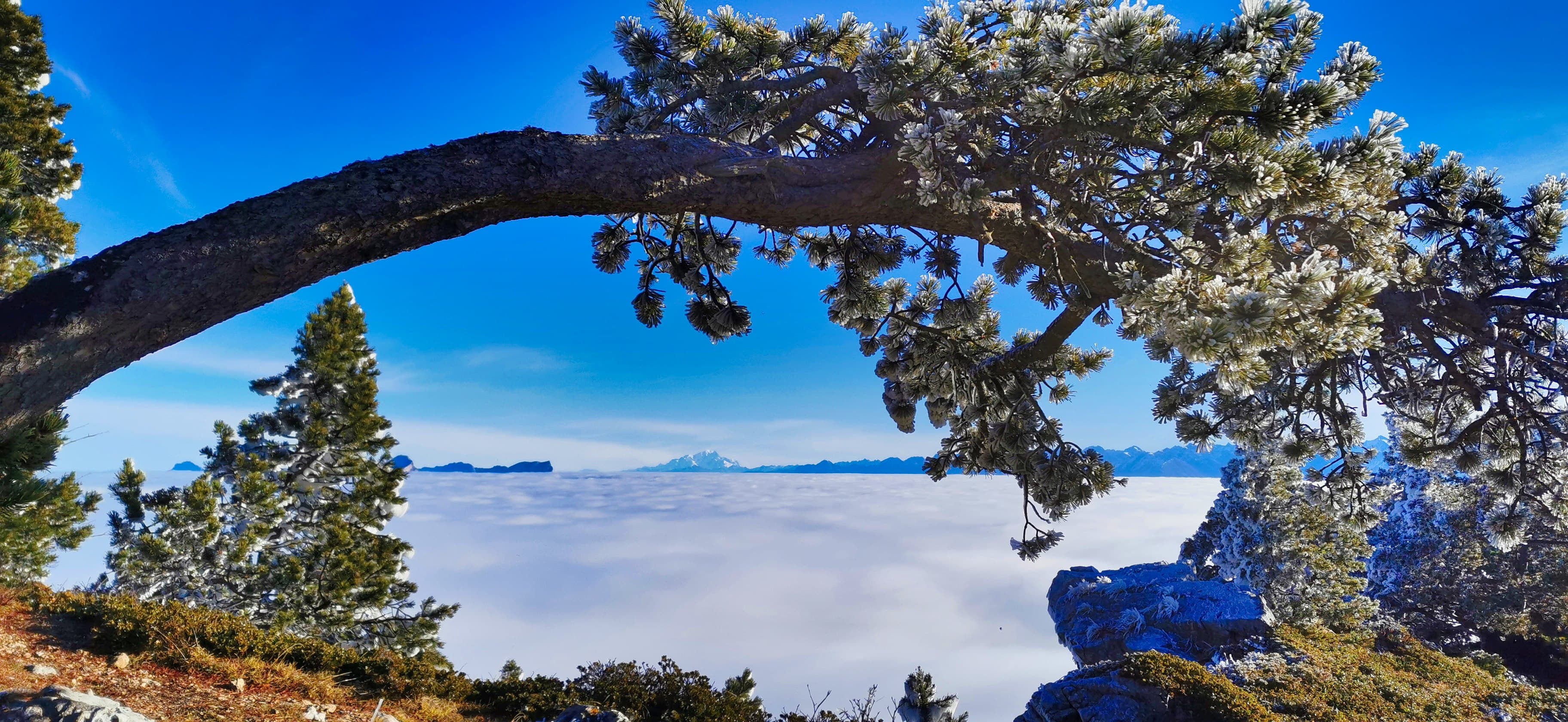 Mont-Blanc sur mer de nuage