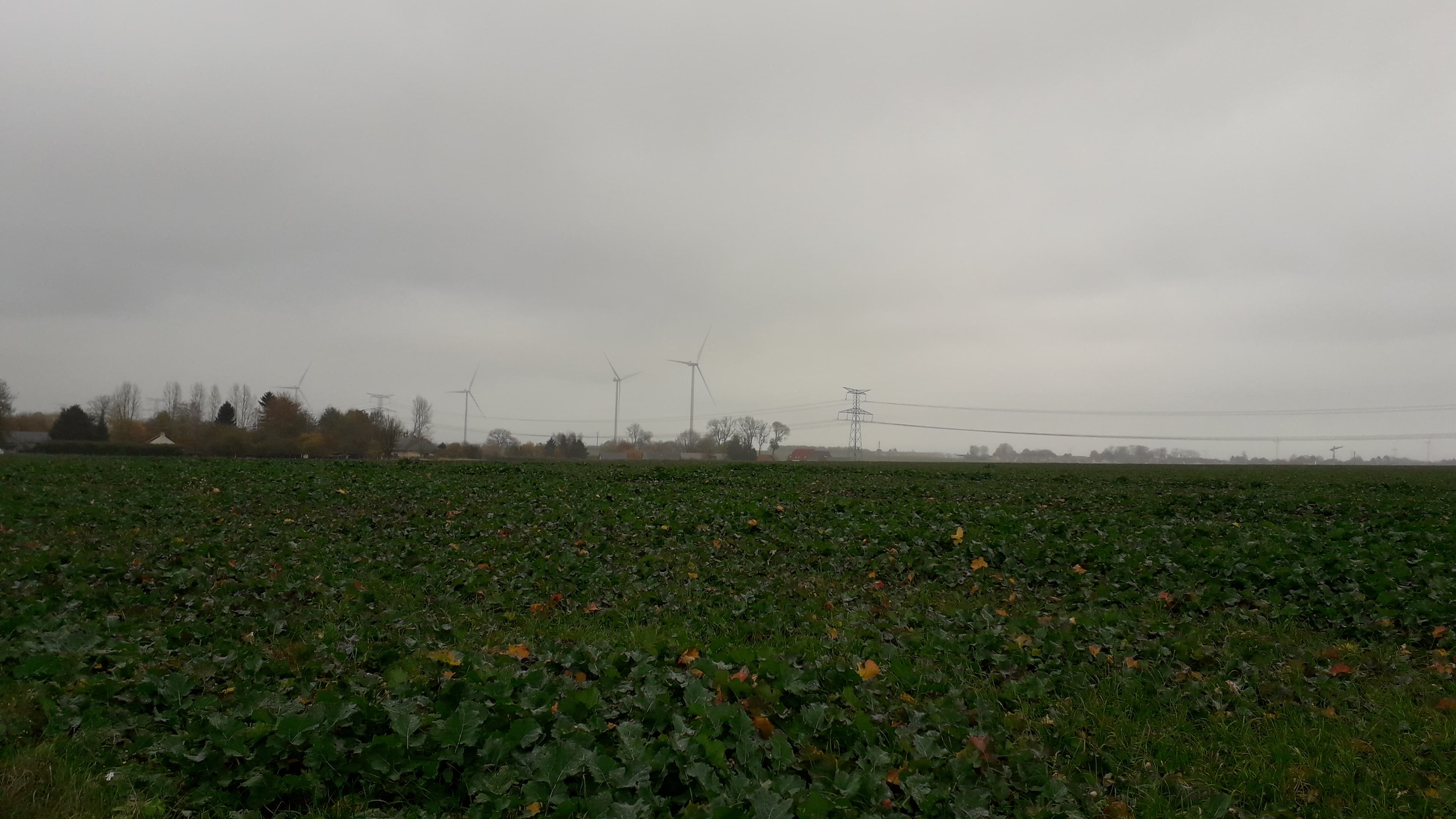 blocage anticyclonique, pas de vent, le TGV de 21h ne partira pas