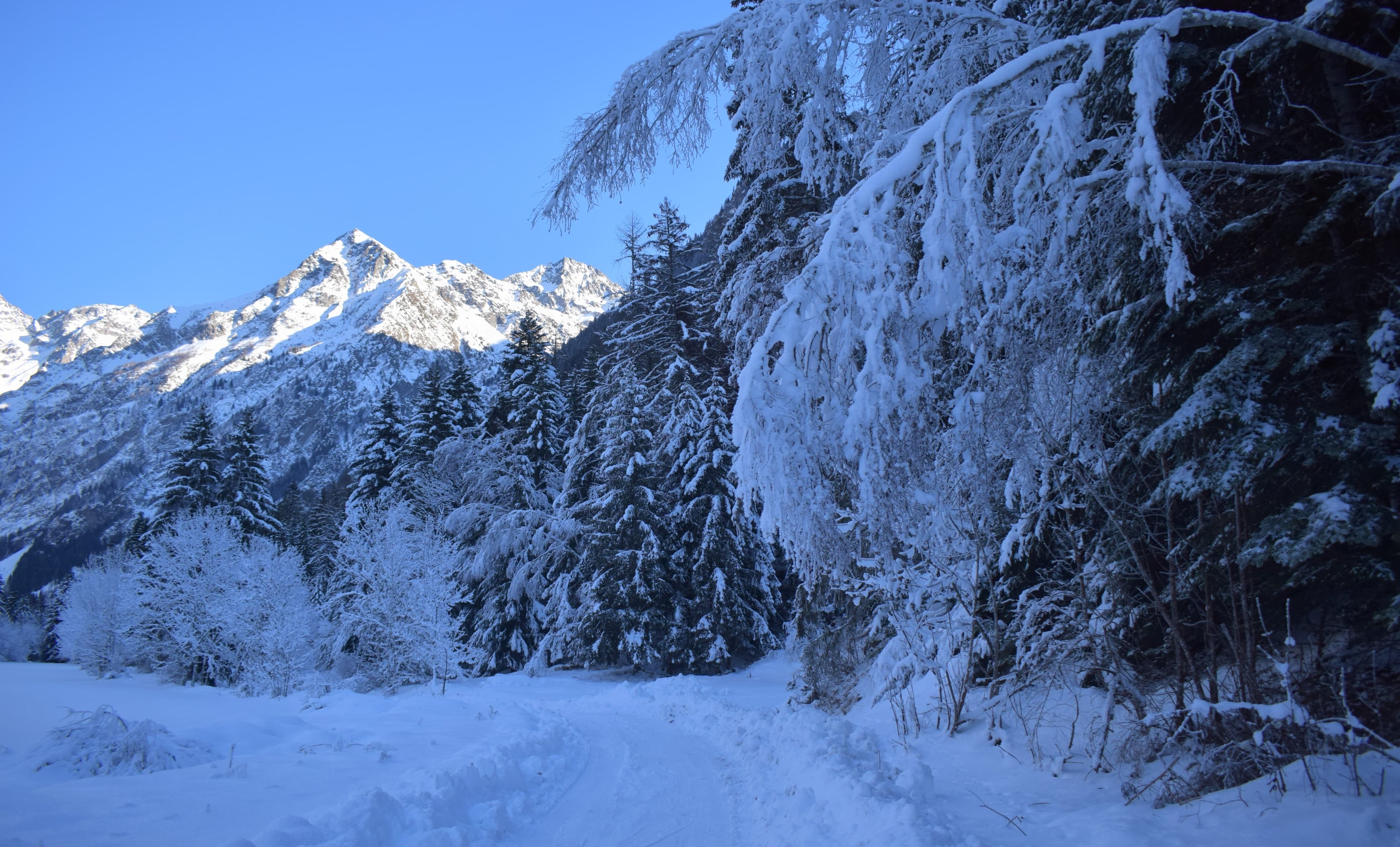 Givre tenace aux Faures de Valjouffrey