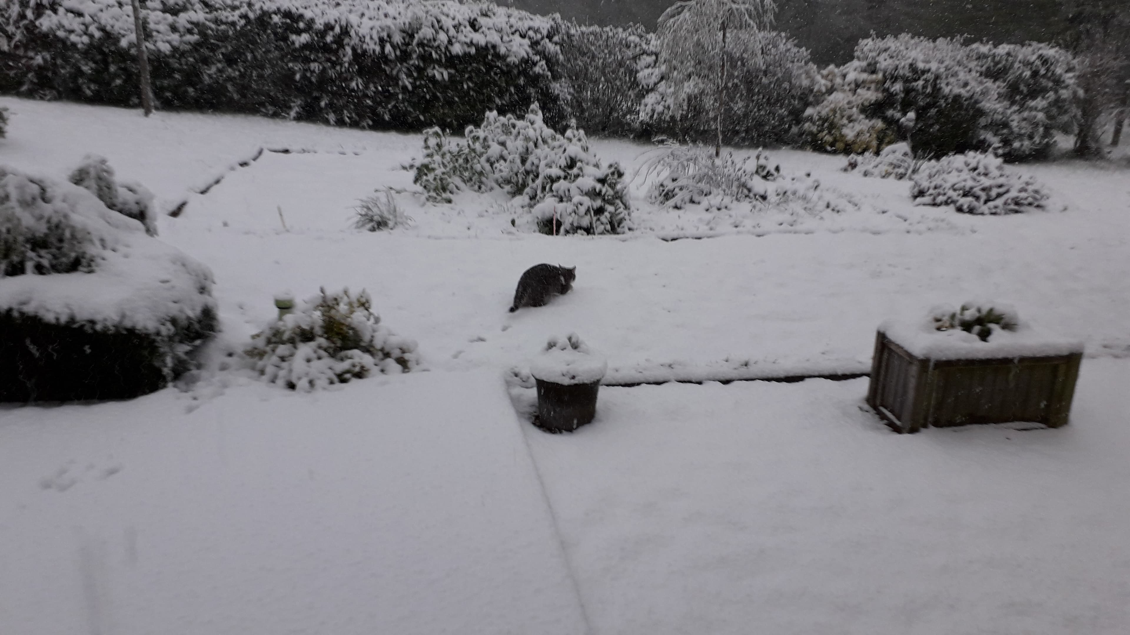 premières chutes de neige du printemps! le dérèglement climatique à l'oeuvre