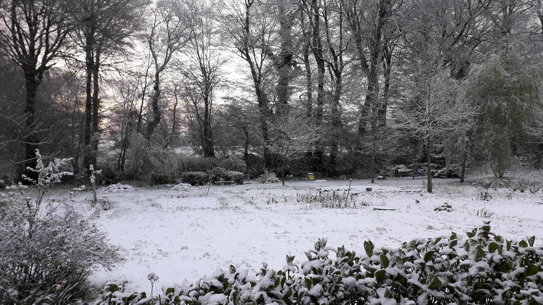 l'épisode neigeux se poursuit ce matin en Pays de Caux