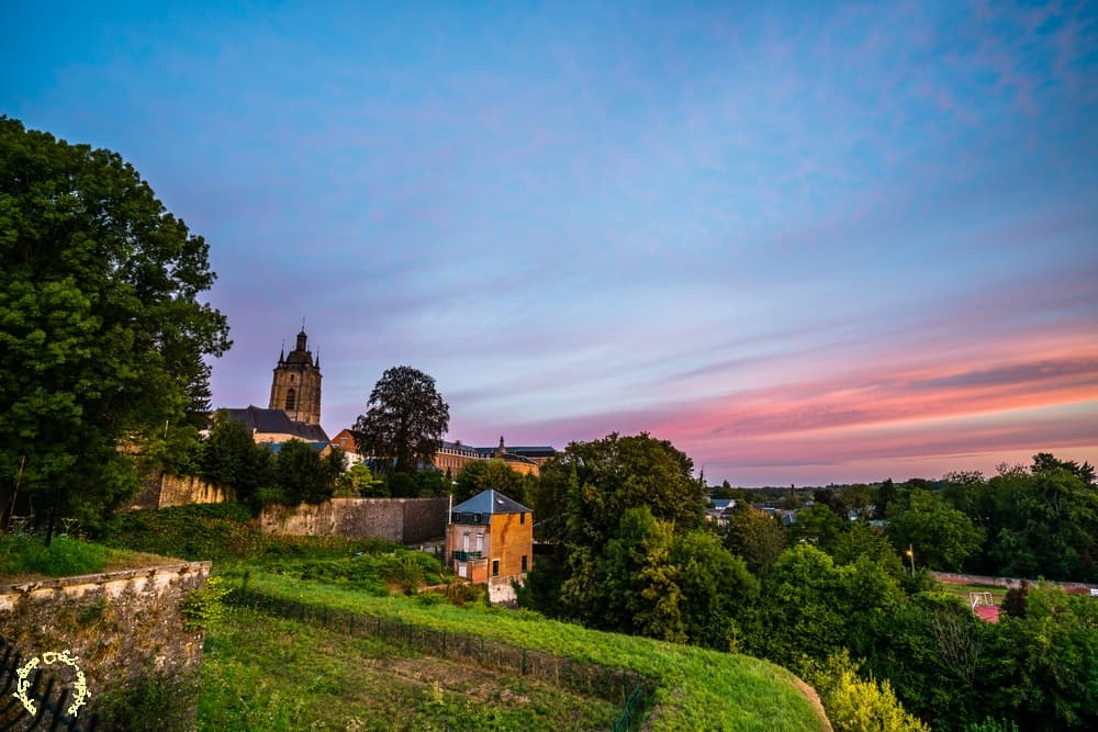 Rose sur les remparts
