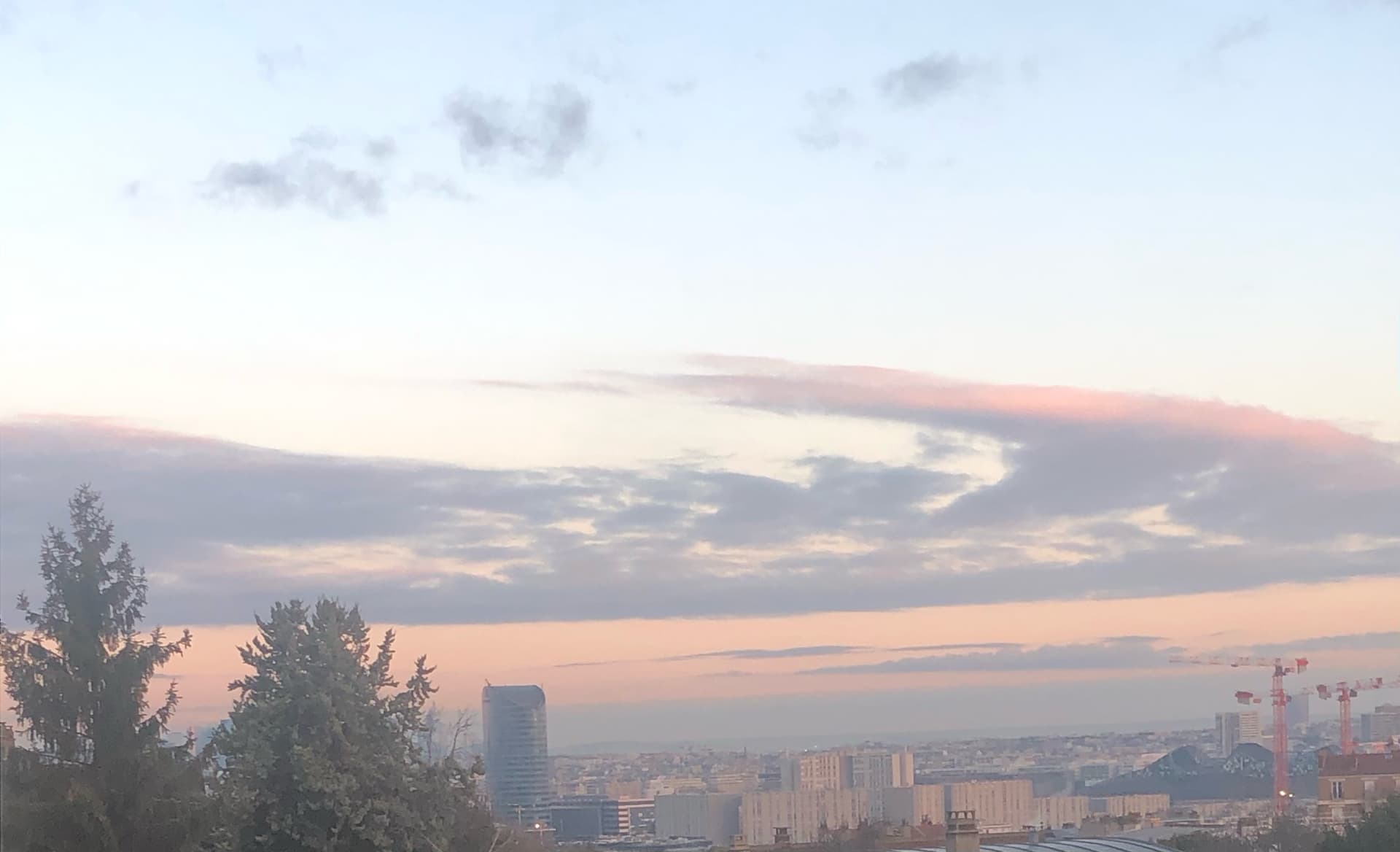 ciel-rose