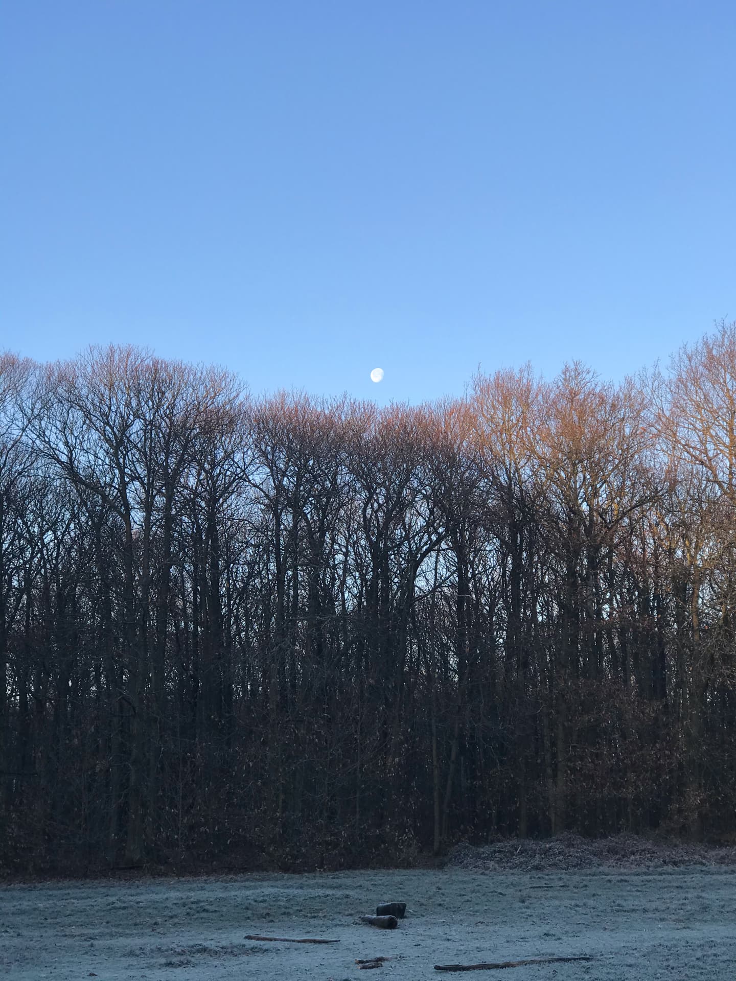 la-lune