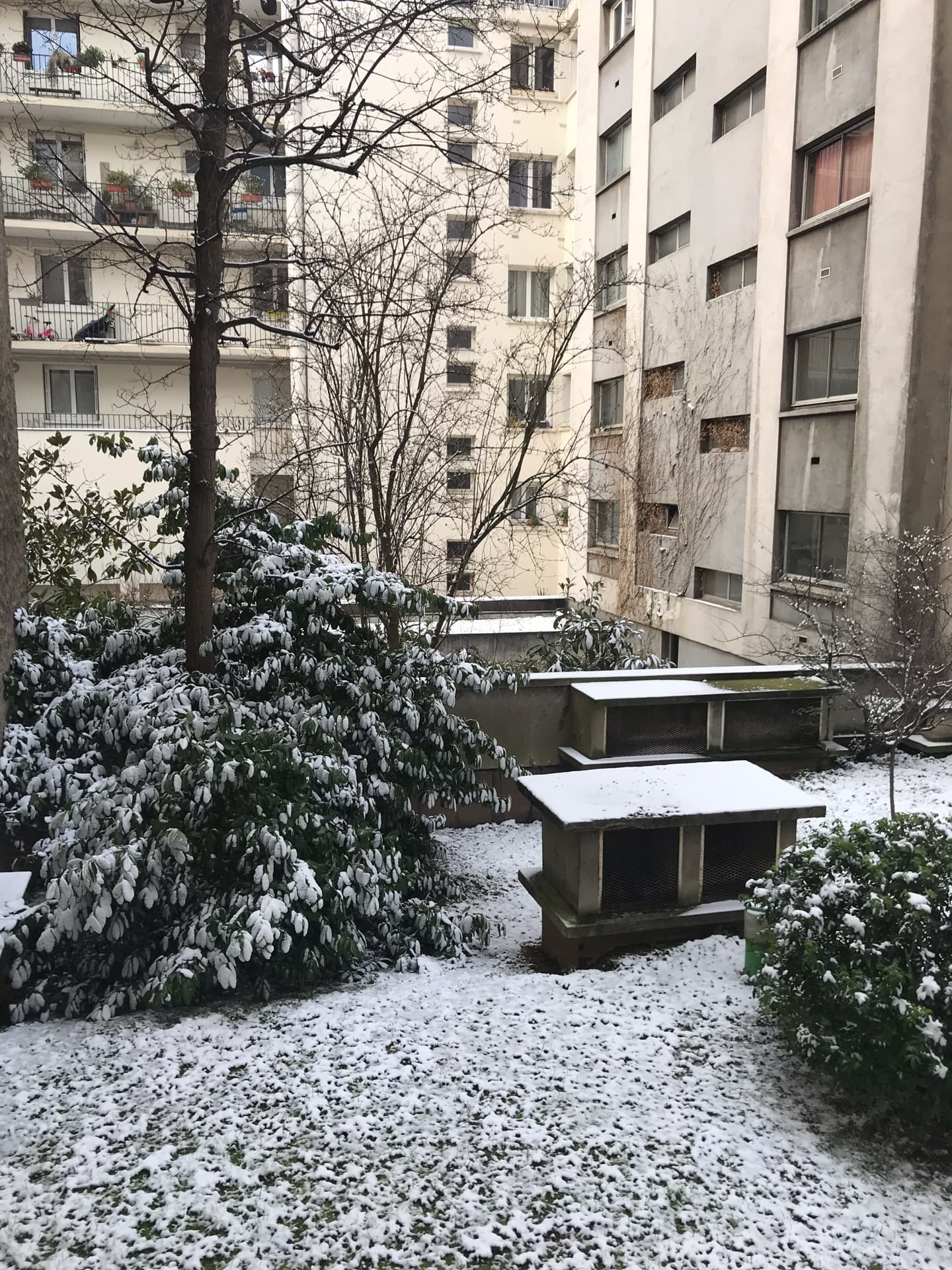 reveil-enneige-dans-le-15eme