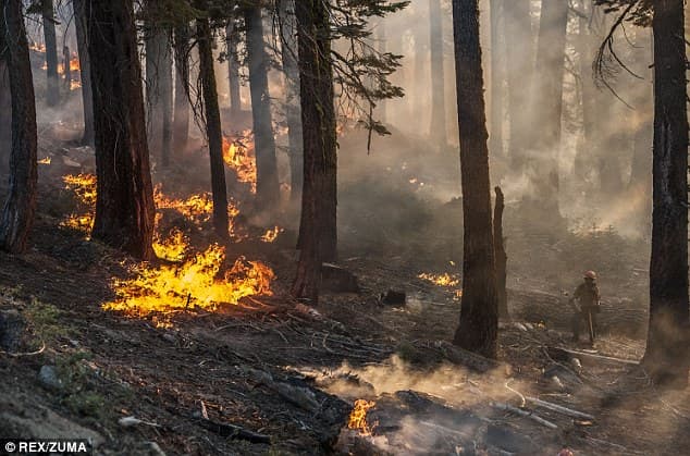 Image d'illustration pour Poursuite des incendies aux Etats-Unis