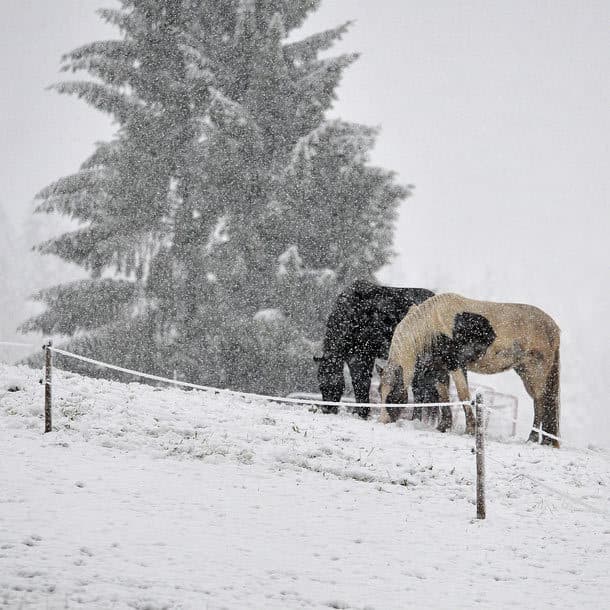 Image d'illustration pour Fortes chutes de neige en Haute Savoie - Alpes du Nord