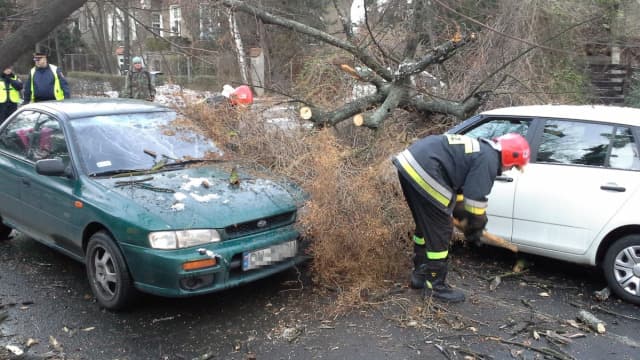 Image d'illustration pour Bilan de la tempête Xaver sur le Nord de l'Europe