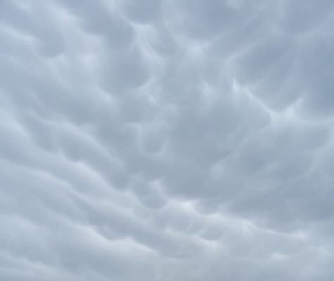 Mamatus 