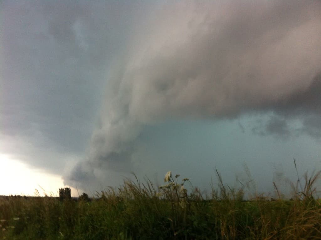 arcus