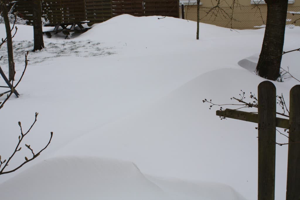 une belle épaisseur de neige