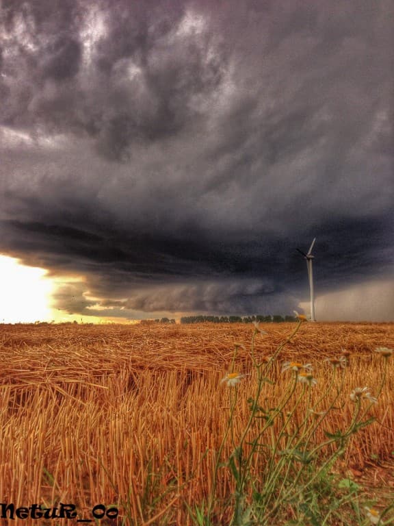 arcus 2