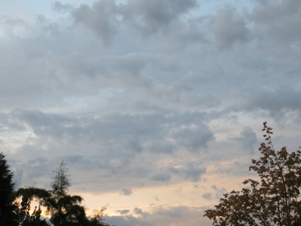 Avant l'orage...