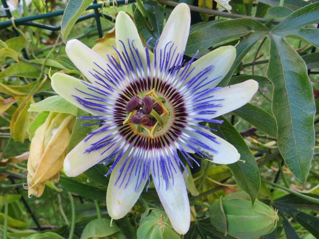 Beauté de la nature