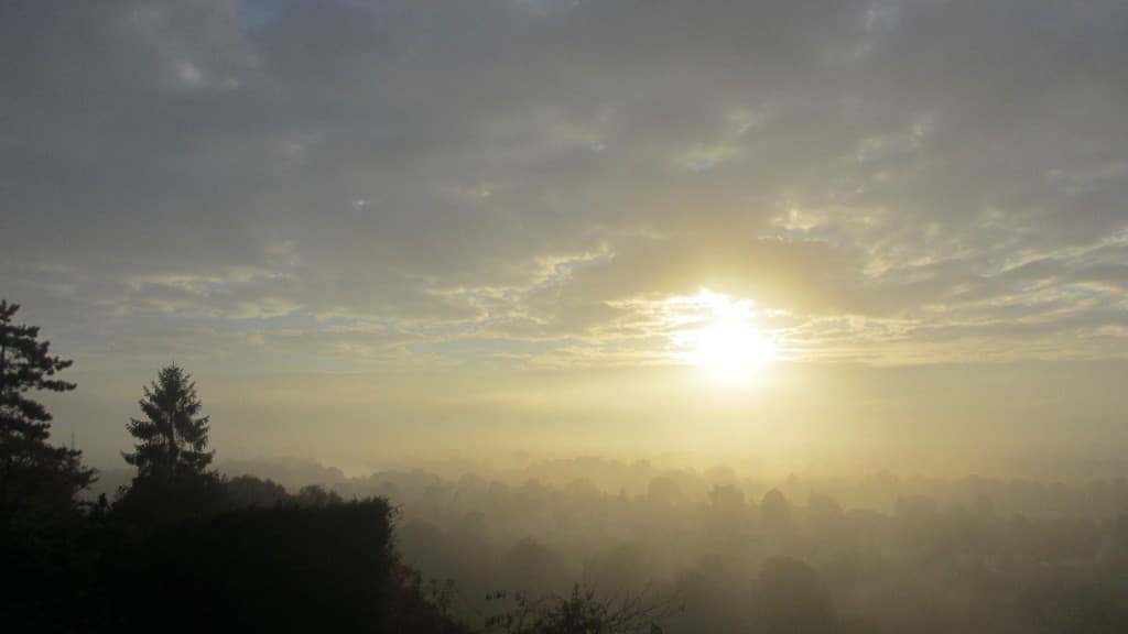 Matin d'Automne